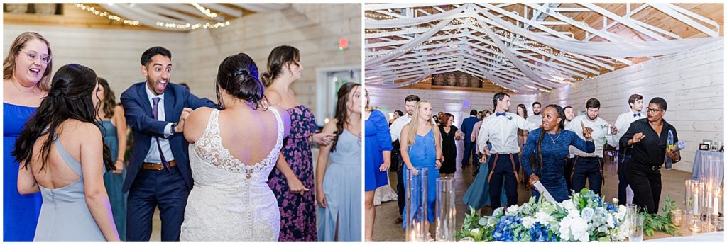 Wedding guests at reception dressed in blue for blue themed wedding