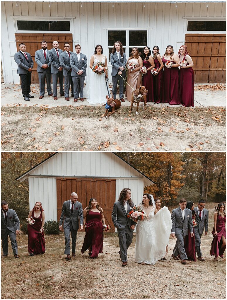 Wedding party at outdoor october wedding with dogs