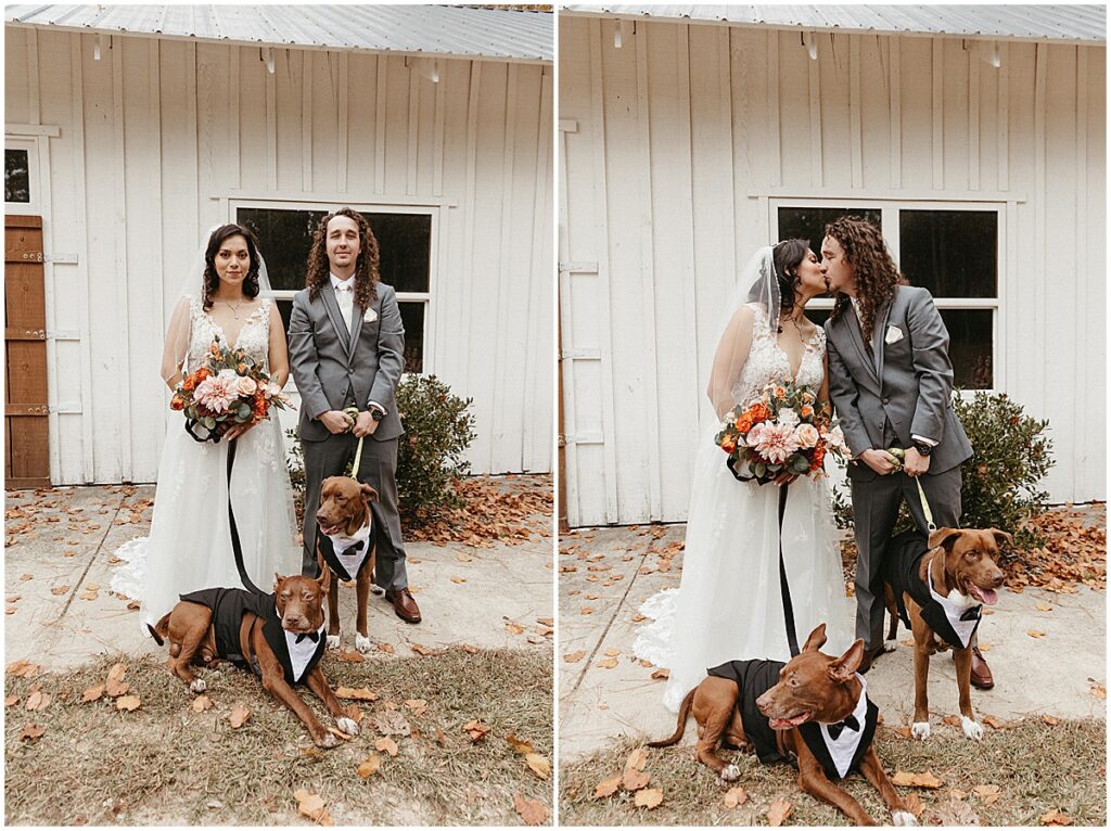 wedding couple portraits at outdoor october wedding at koury farms with dogs