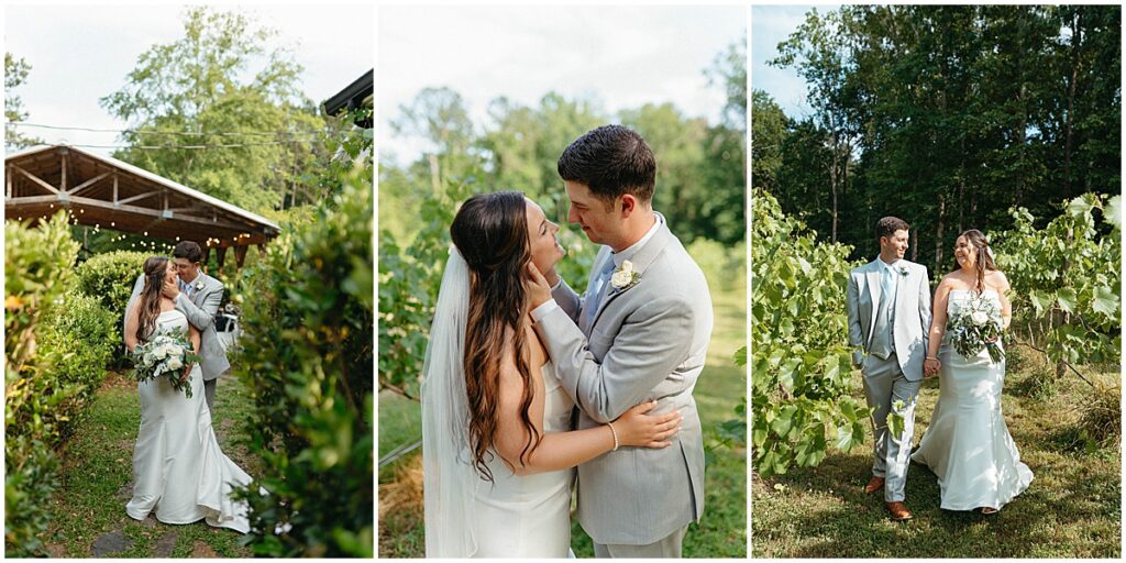 bride and groom portraits in the vineyards at Koury Farms