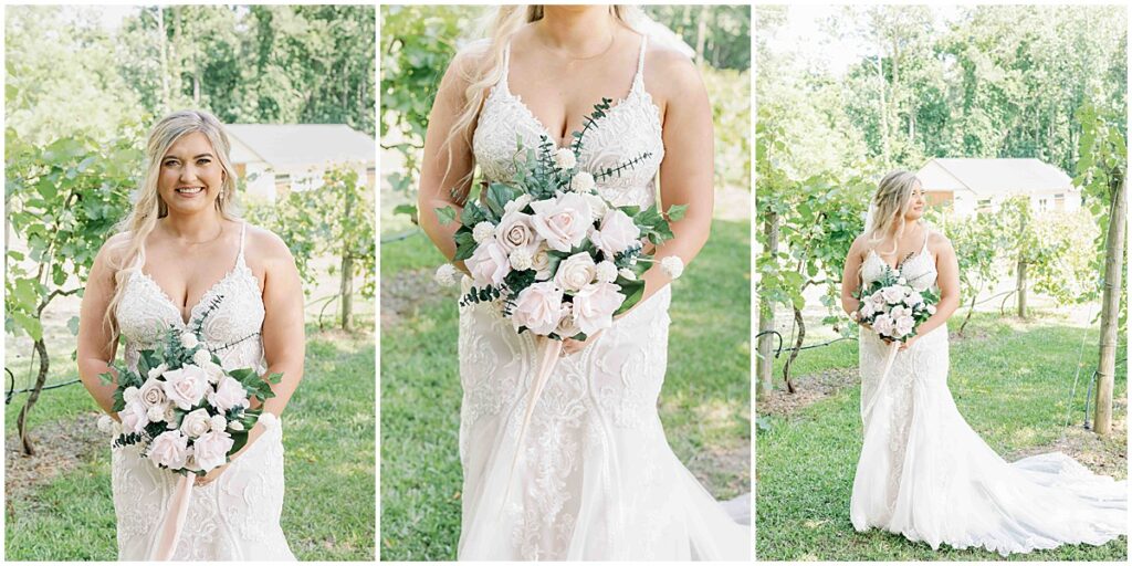 Bridal portraits in vineyard at green and white wedding at Koury Farms