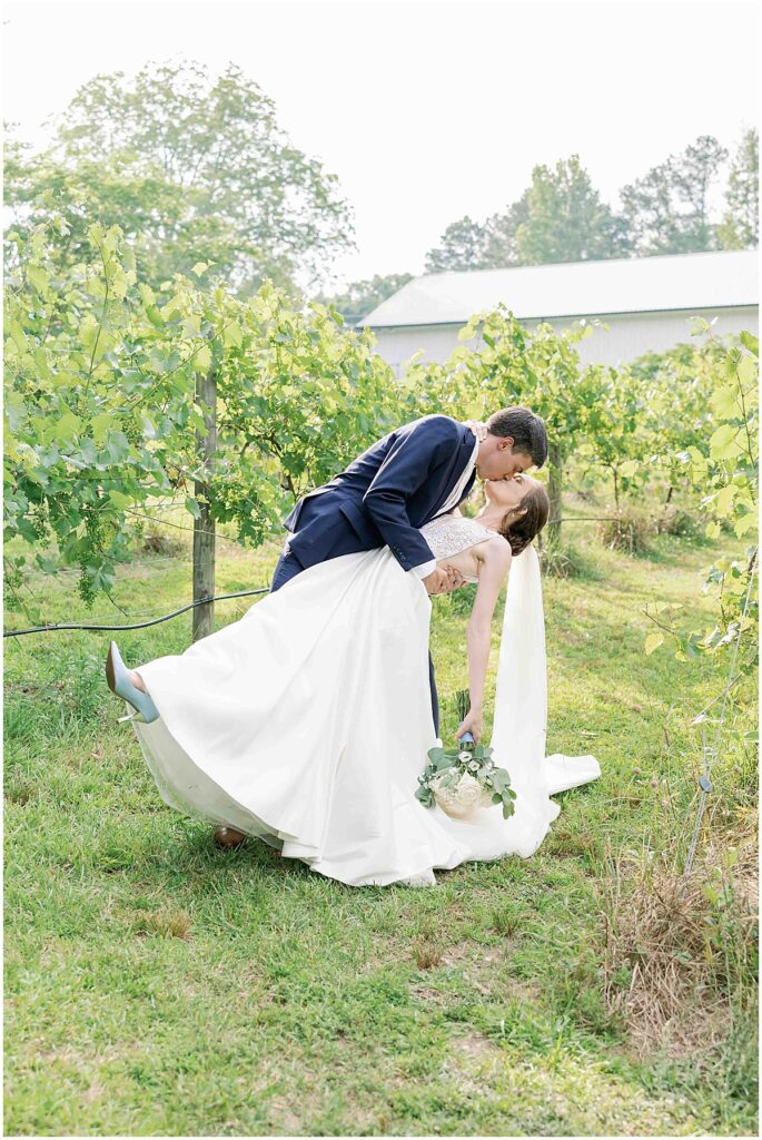 bride and groom portraits in the vineyards at Koury farms