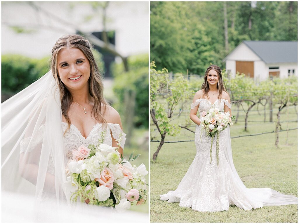 bridal portraits in the vineyards at Koury Farms